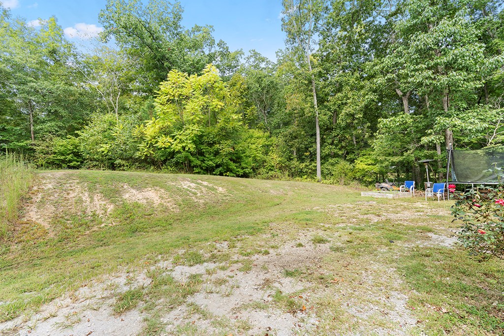 85 Relax Street Waterloo, SC 29384 - Photo 16 of 16
