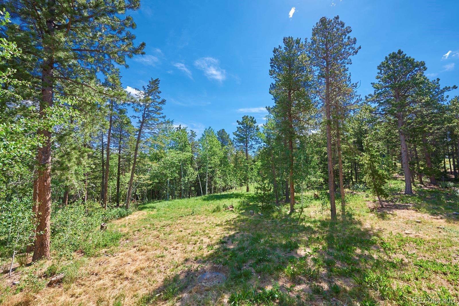 3643 Ridge Road Nederland, CO 80466 - Photo 19 of 35