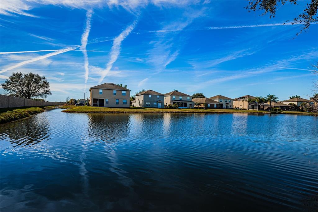 9736 Trumpet Vine Loop Trinity, FL 34655 - Photo 34 of 35 a view of a lake with houses