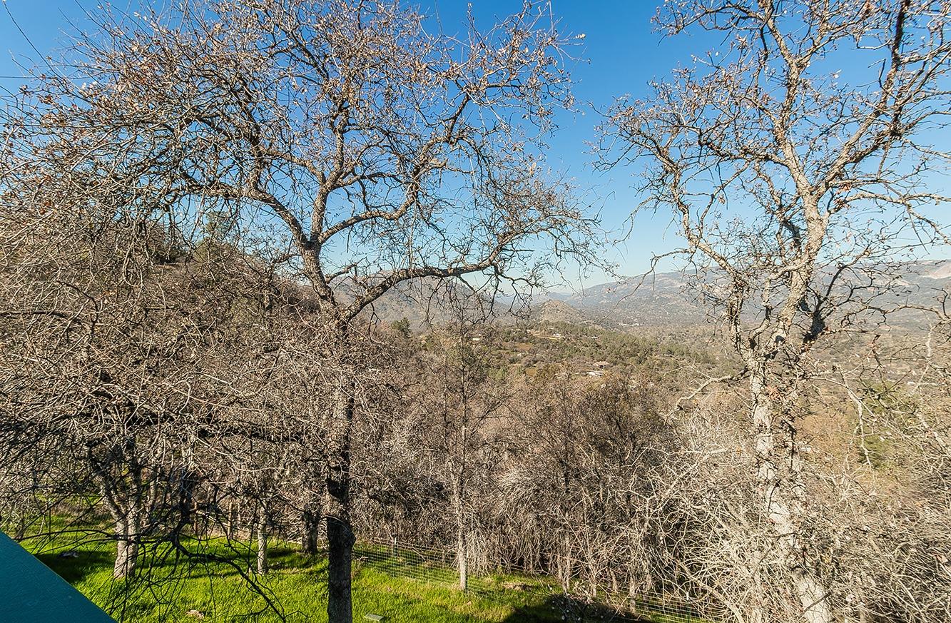 29356 Larkspur Road Tollhouse, CA 93667 - Photo 11 of 56