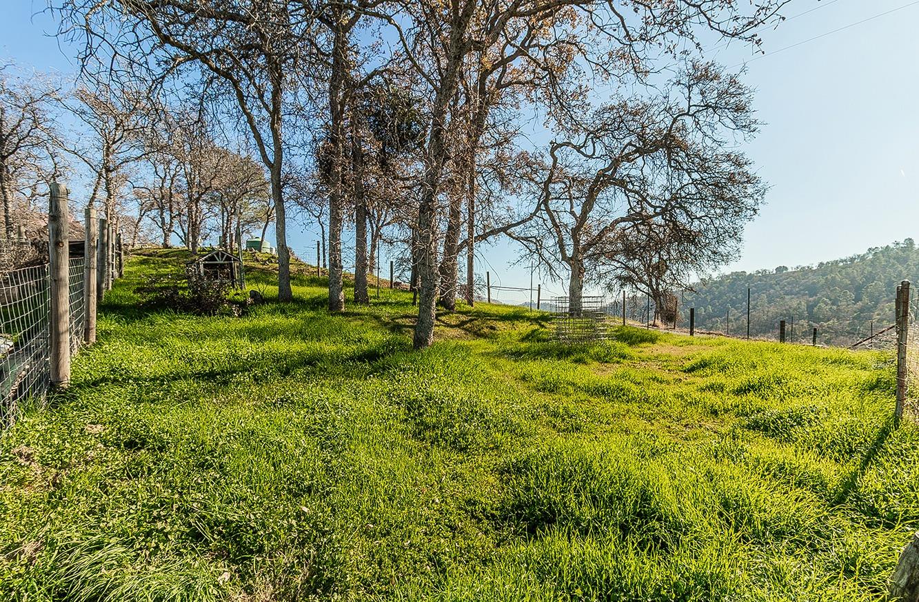 29356 Larkspur Road Tollhouse, CA 93667 - Photo 30 of 56