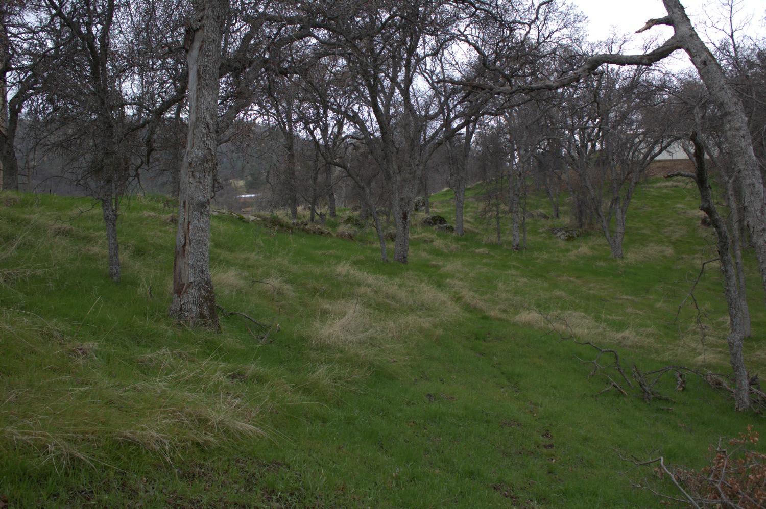 29356 Larkspur Road Tollhouse, CA 93667 - Photo 42 of 56