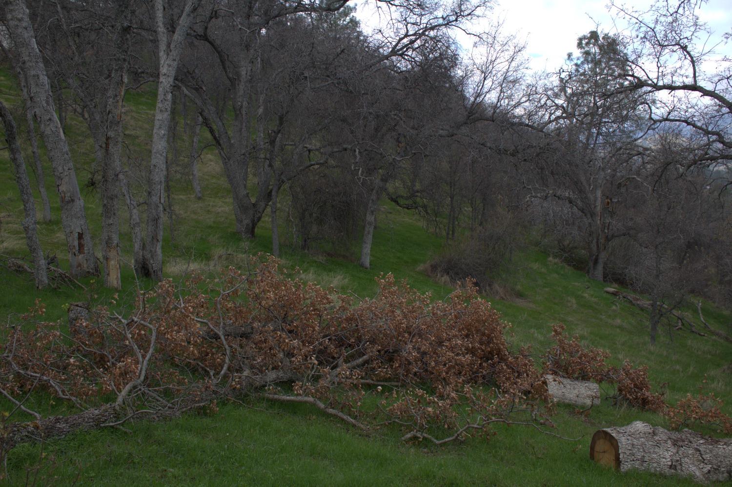 29356 Larkspur Road Tollhouse, CA 93667 - Photo 43 of 56