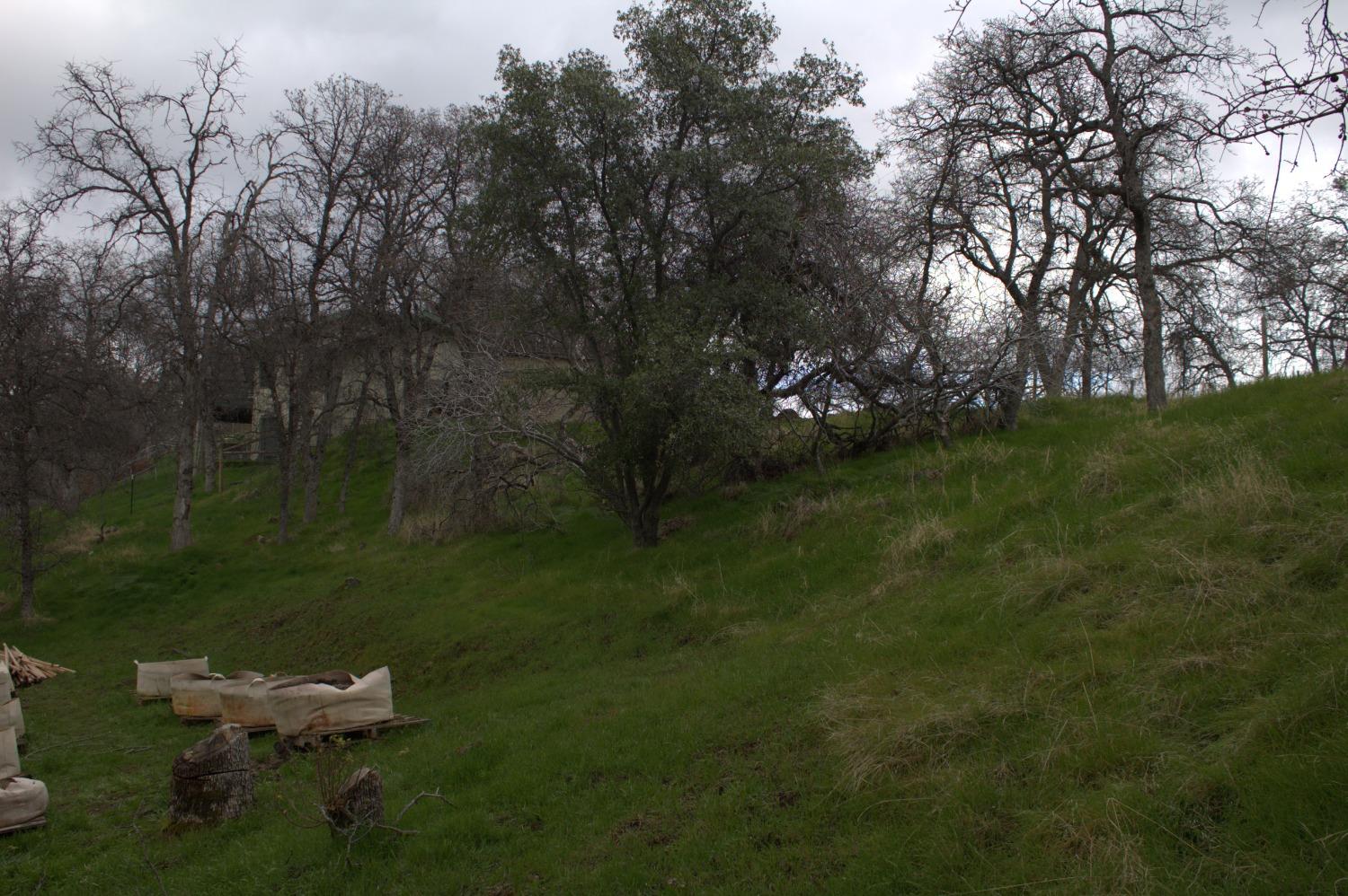 29356 Larkspur Road Tollhouse, CA 93667 - Photo 44 of 56