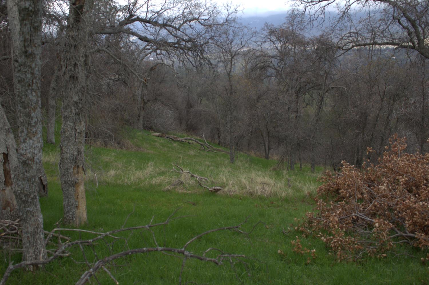 29356 Larkspur Road Tollhouse, CA 93667 - Photo 45 of 56