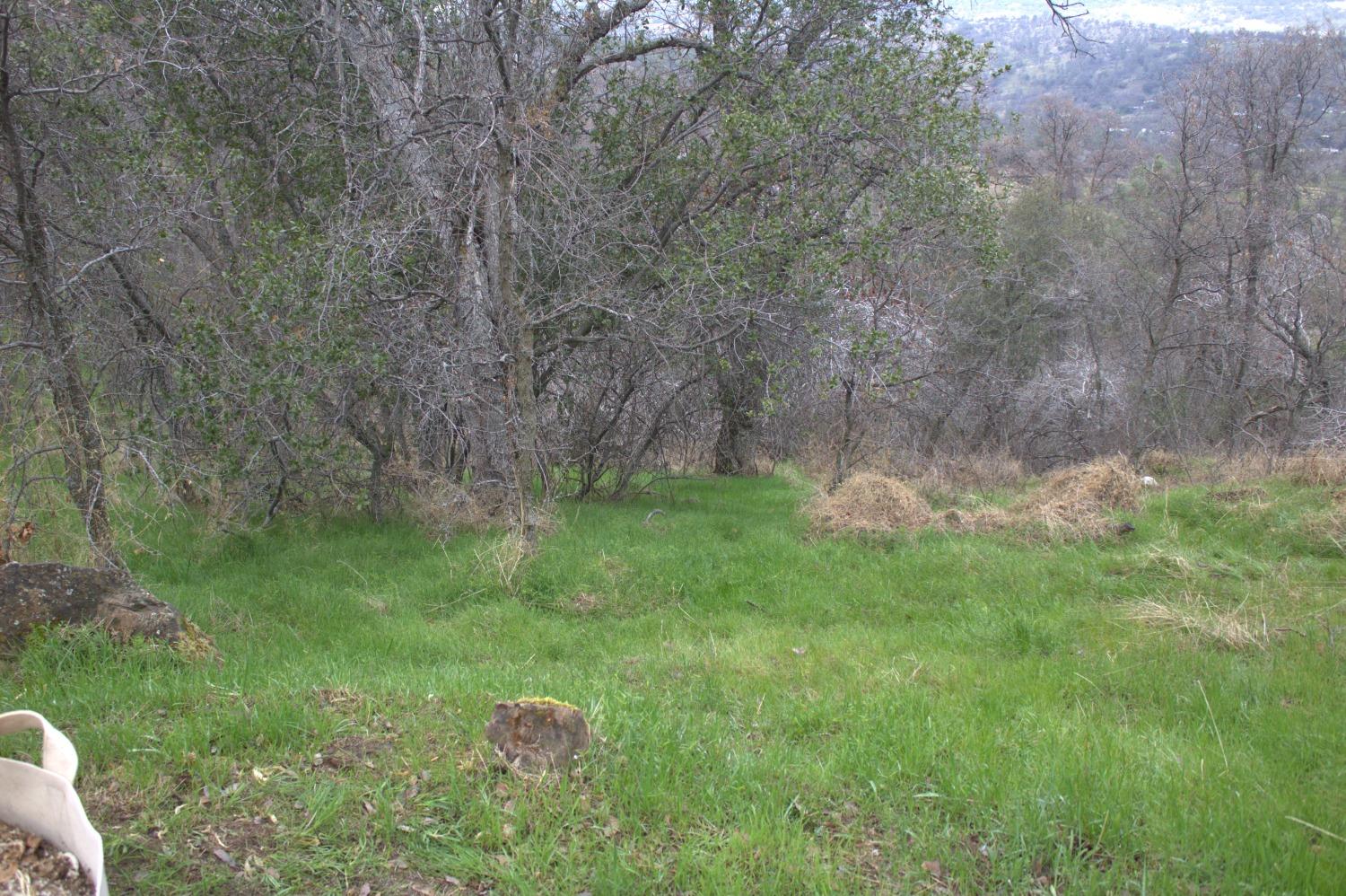 29356 Larkspur Road Tollhouse, CA 93667 - Photo 46 of 56