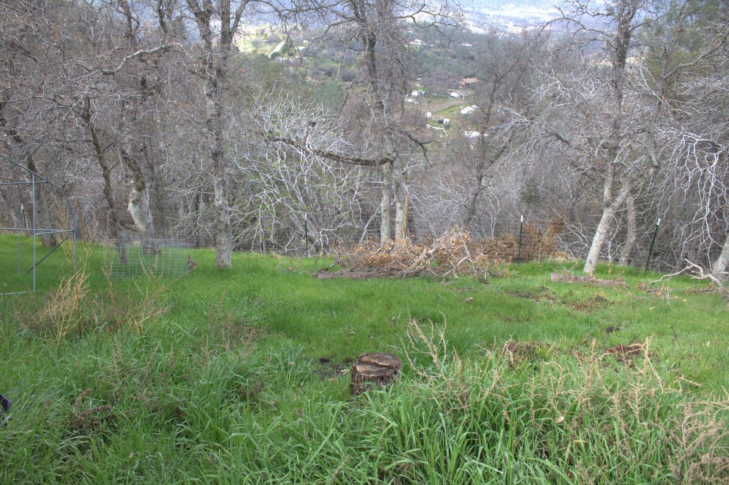 29356 Larkspur Road Tollhouse, CA 93667 - Photo 48 of 56