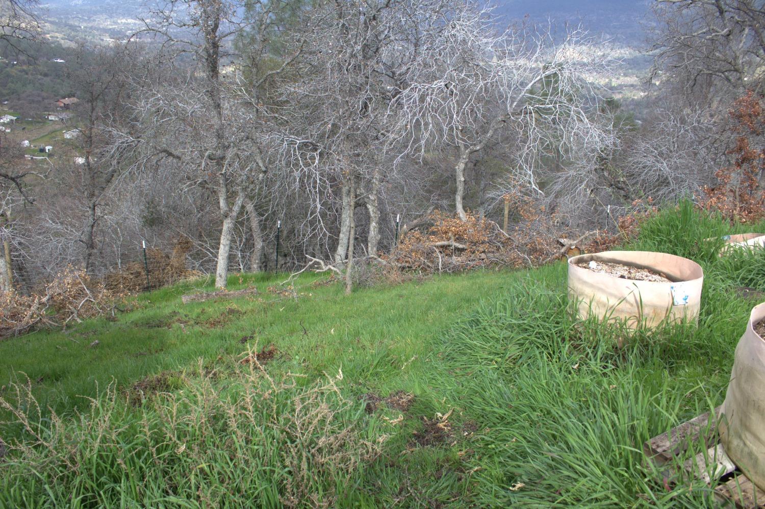 29356 Larkspur Road Tollhouse, CA 93667 - Photo 49 of 56