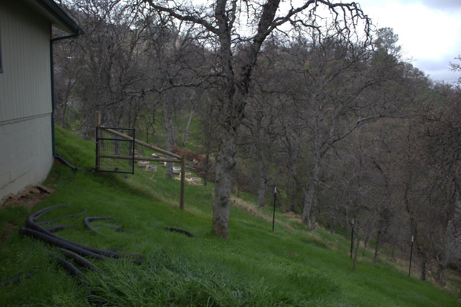 29356 Larkspur Road Tollhouse, CA 93667 - Photo 50 of 56