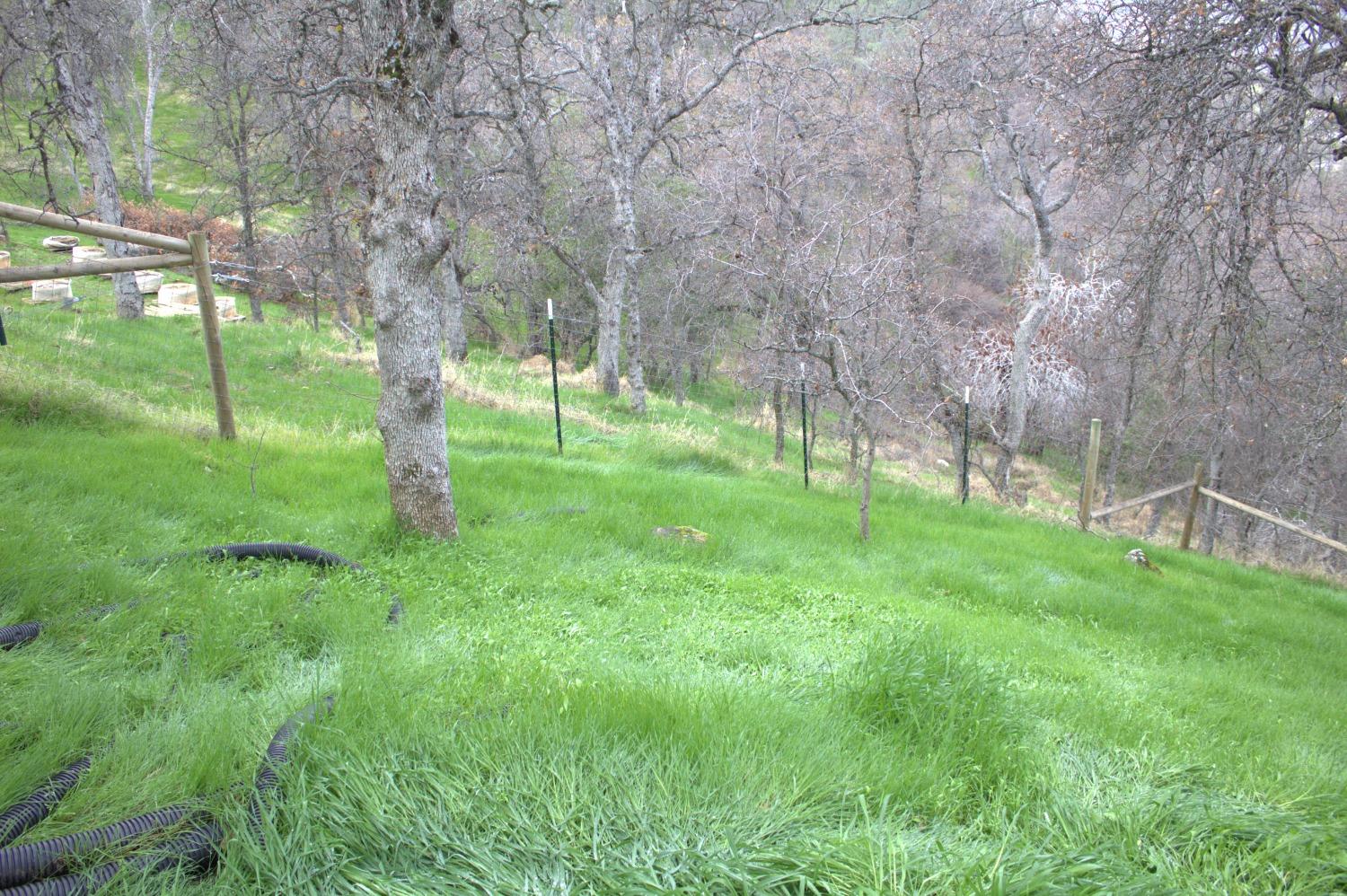 29356 Larkspur Road Tollhouse, CA 93667 - Photo 51 of 56