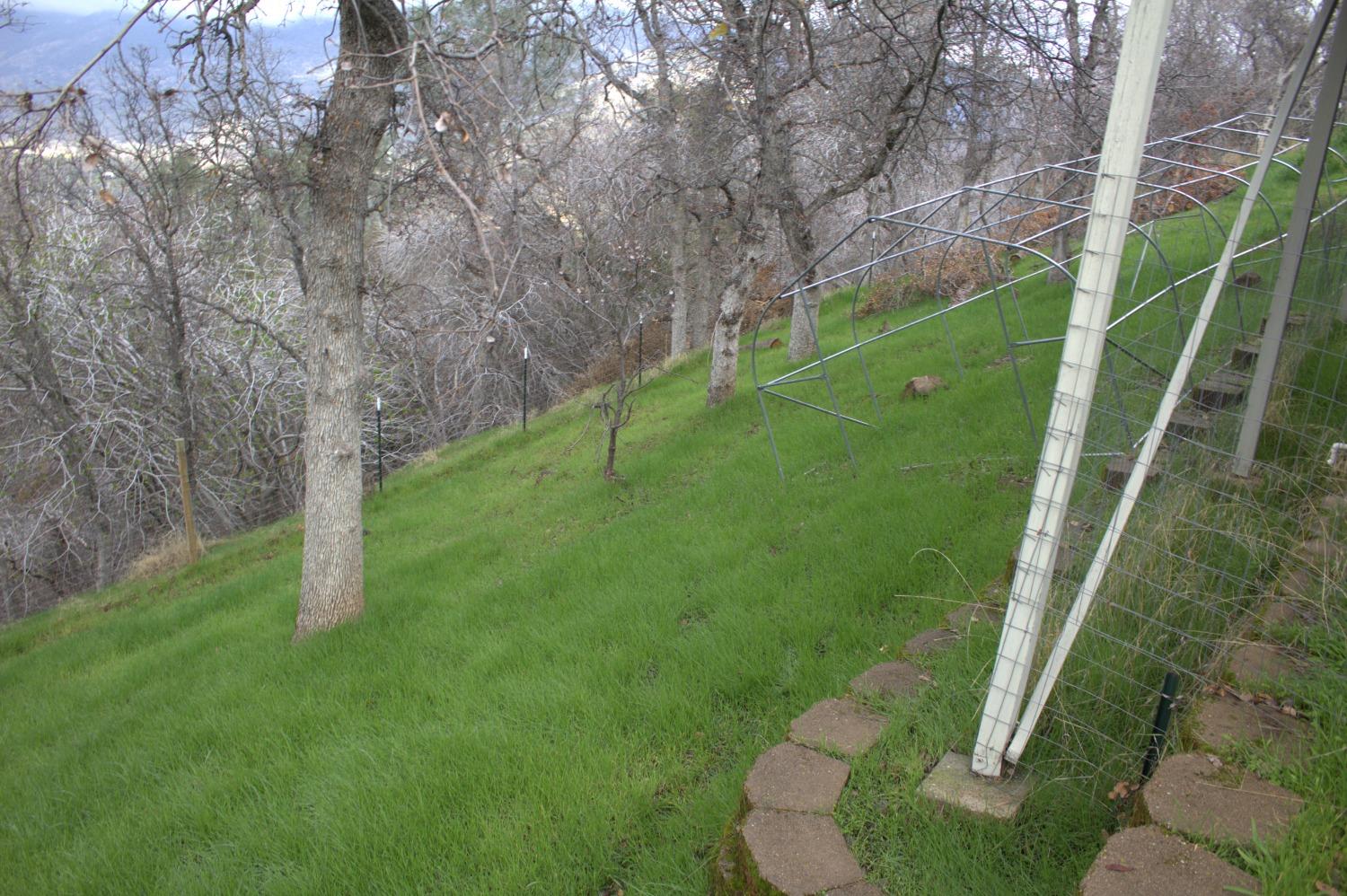 29356 Larkspur Road Tollhouse, CA 93667 - Photo 53 of 56