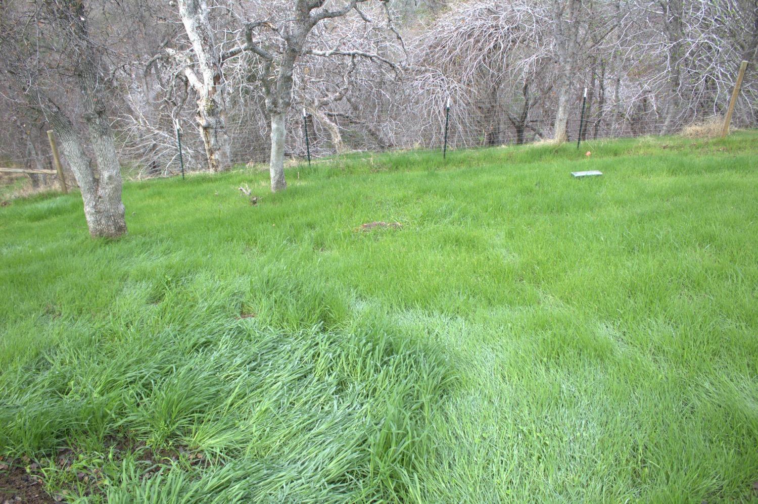 29356 Larkspur Road Tollhouse, CA 93667 - Photo 54 of 56