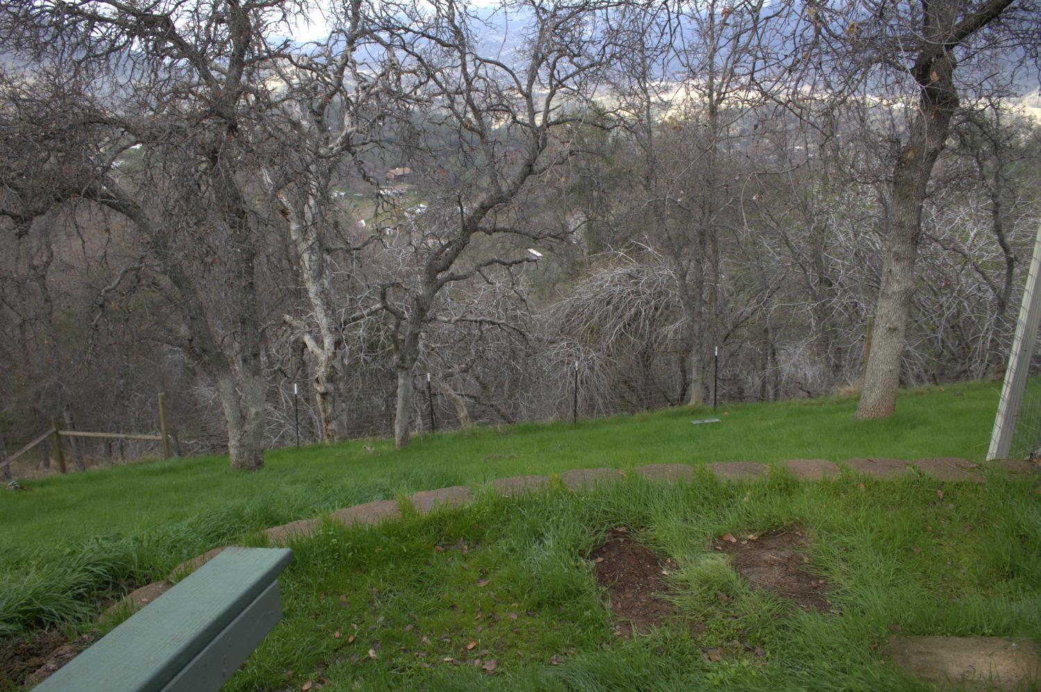 29356 Larkspur Road Tollhouse, CA 93667 - Photo 56 of 56