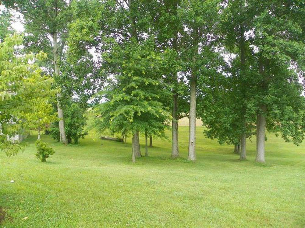 1225 Johnson Road Waynesburg, KY 40489 - Photo 38 of 65 Listing Photo