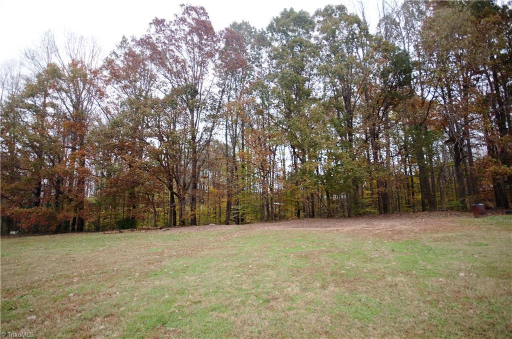 191 Copperhead Road Reidsville, NC 27320 - Photo 4 of 30 Gallery Image 4