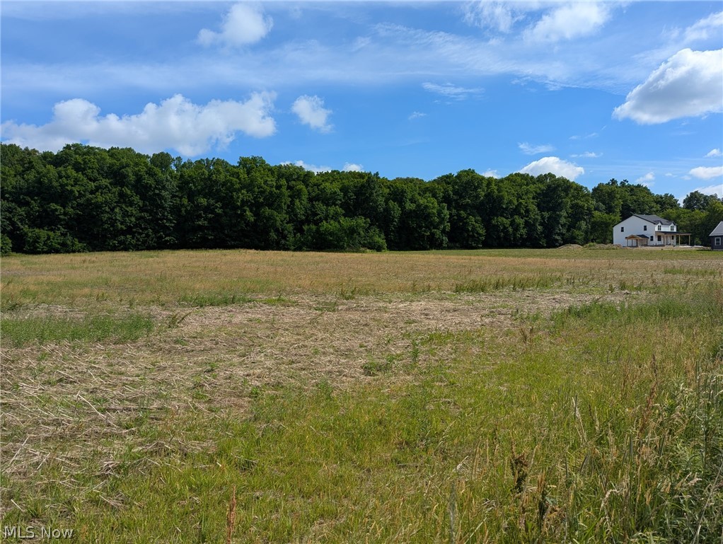 Center Road Garrettsville, OH 44231 - Photo 10 of 10