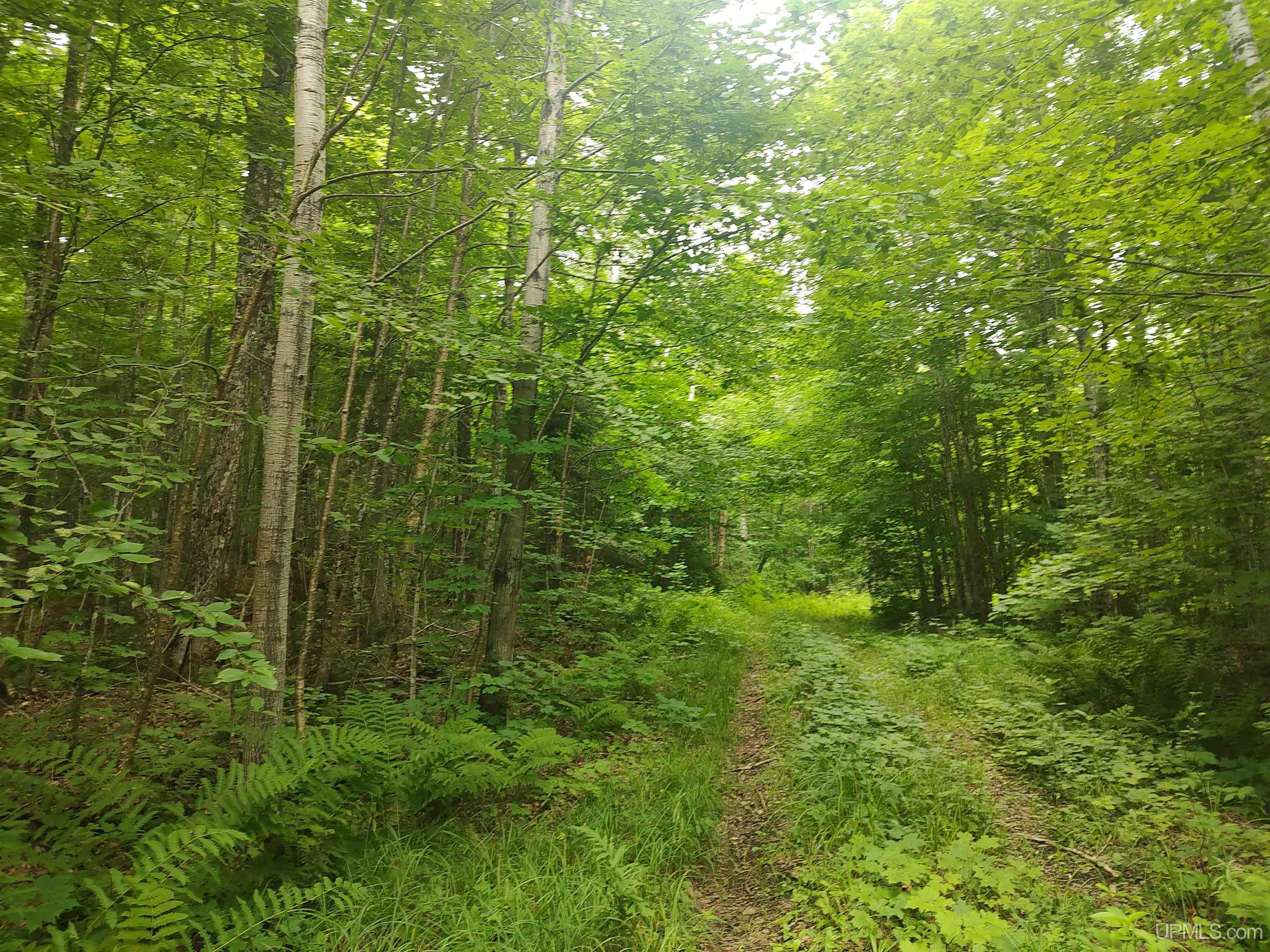 60-acres Sleepy Hollow Road Ishpeming, MI 49849 - Photo 3 of 29