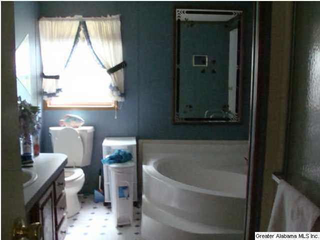 325 Big Springs Road Woodstock, AL 35188 - Photo 16 of 18