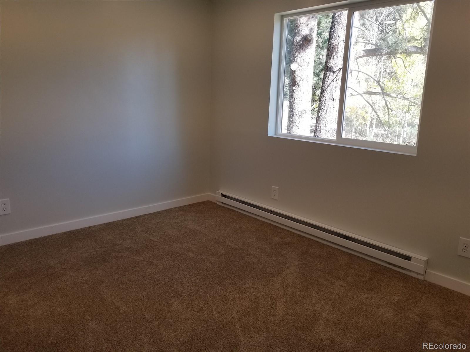 332 Hall Road Bailey, CO 80421 - Photo 12 of 40
