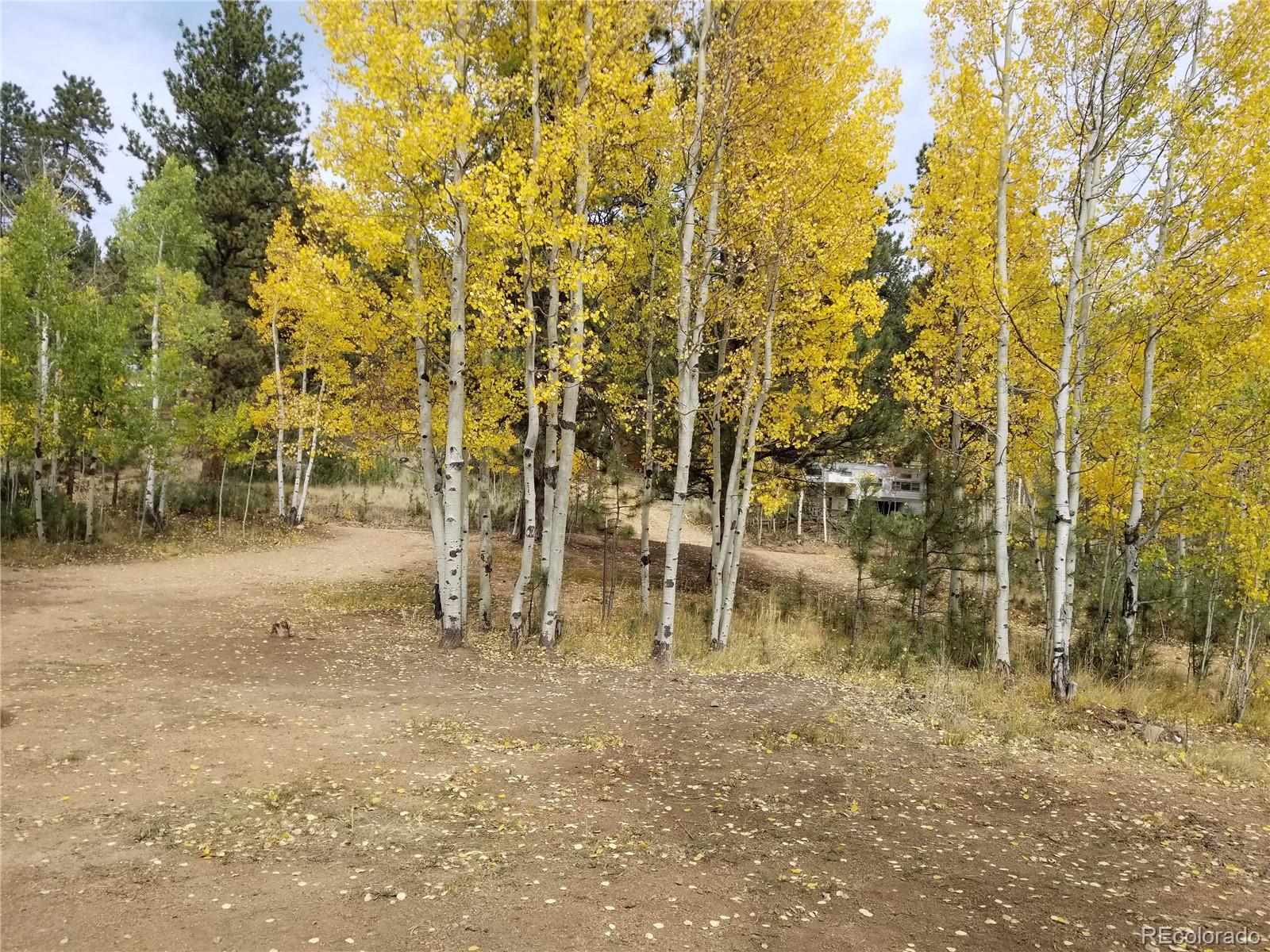 332 Hall Road Bailey, CO 80421 - Photo 18 of 40