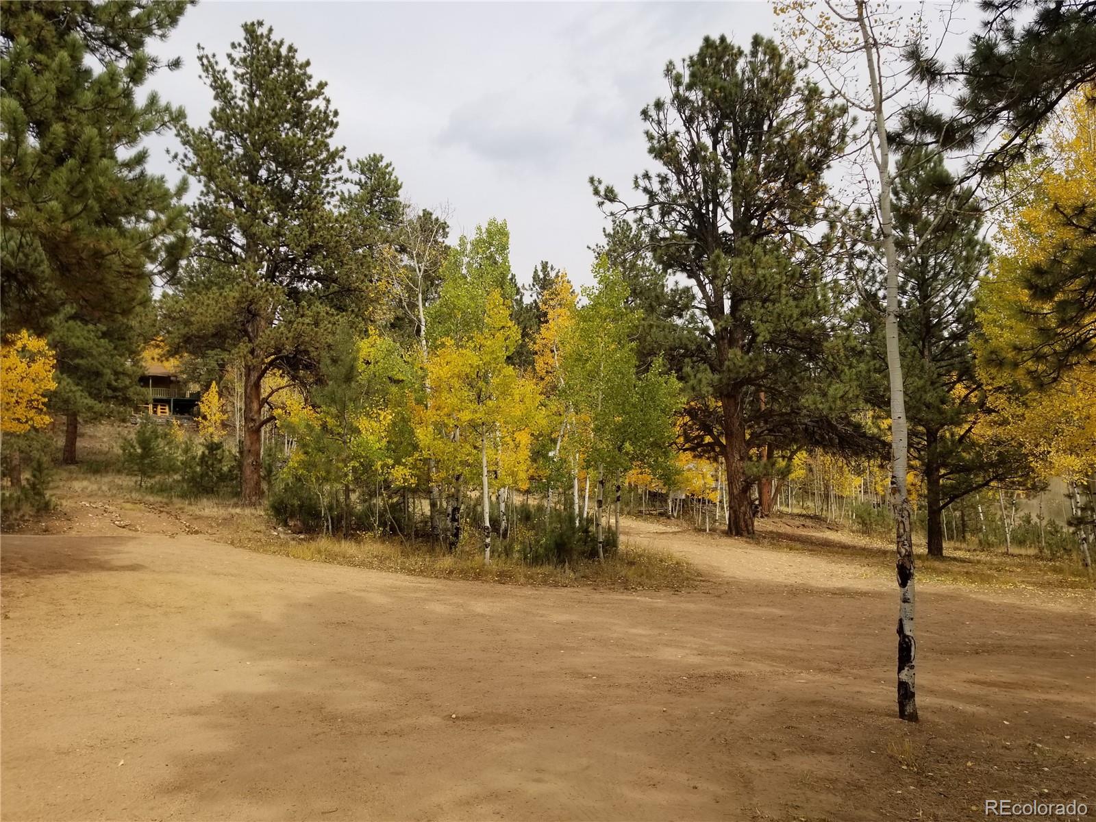 332 Hall Road Bailey, CO 80421 - Photo 25 of 40