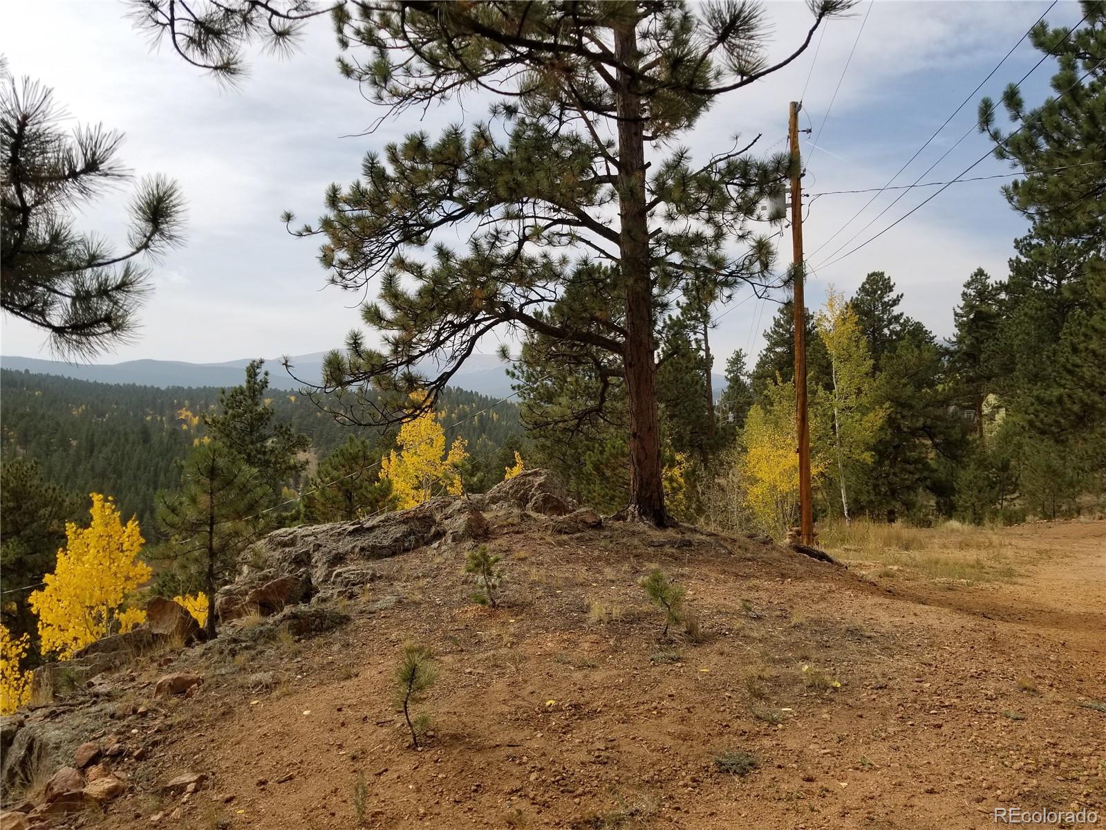 332 Hall Road Bailey, CO 80421 - Photo 28 of 40