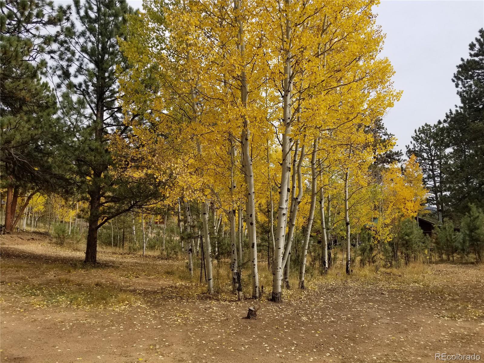 332 Hall Road Bailey, CO 80421 - Photo 3 of 40
