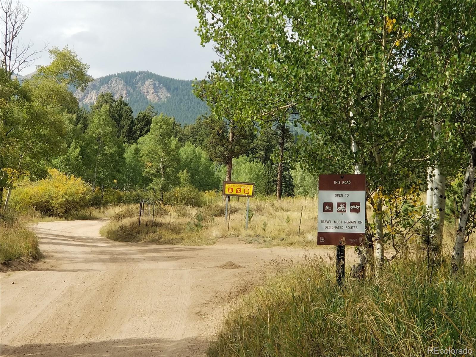 332 Hall Road Bailey, CO 80421 - Photo 33 of 40