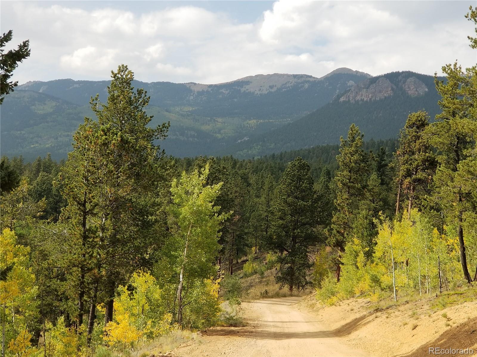 332 Hall Road Bailey, CO 80421 - Photo 34 of 40