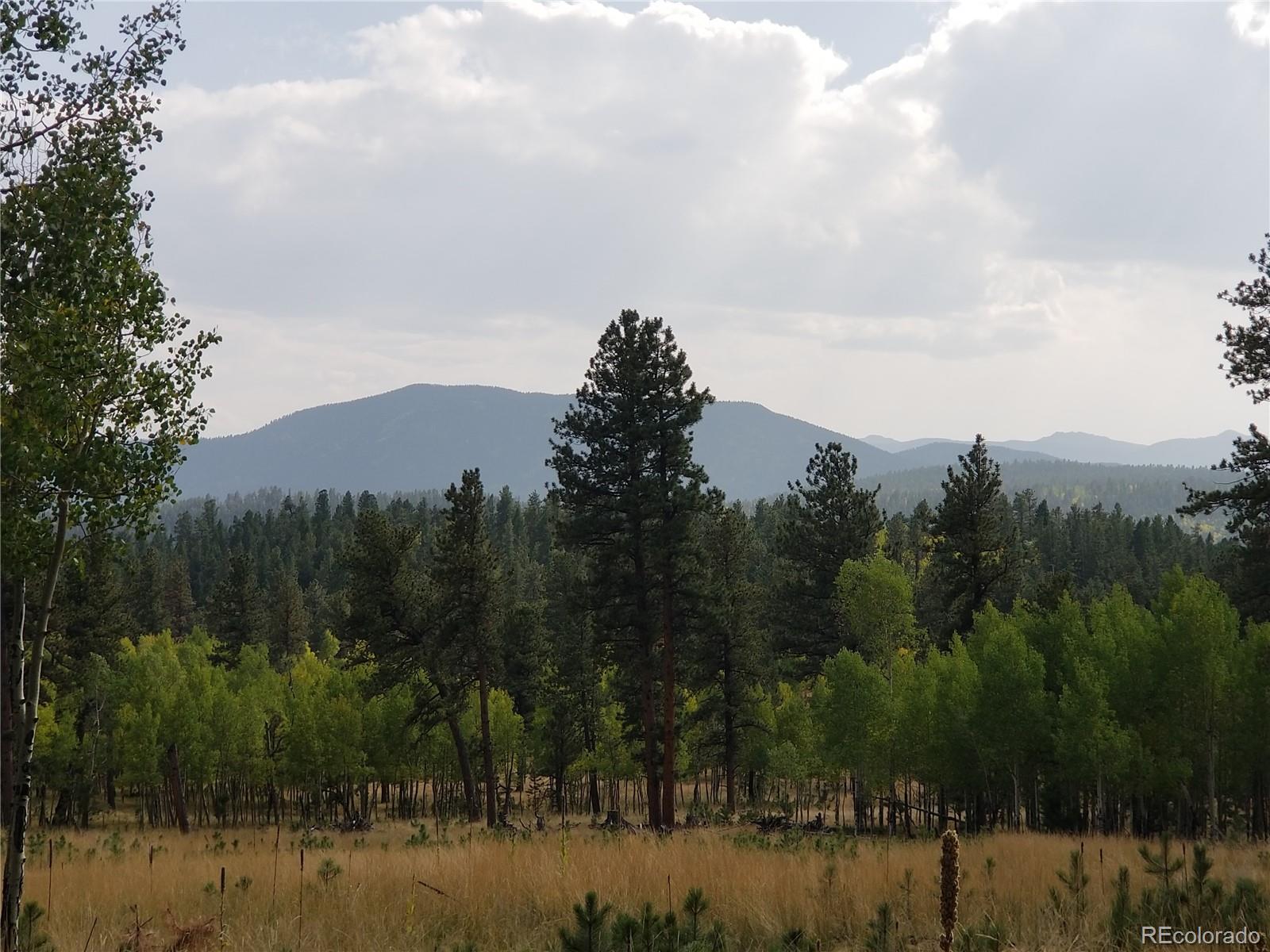 332 Hall Road Bailey, CO 80421 - Photo 35 of 40