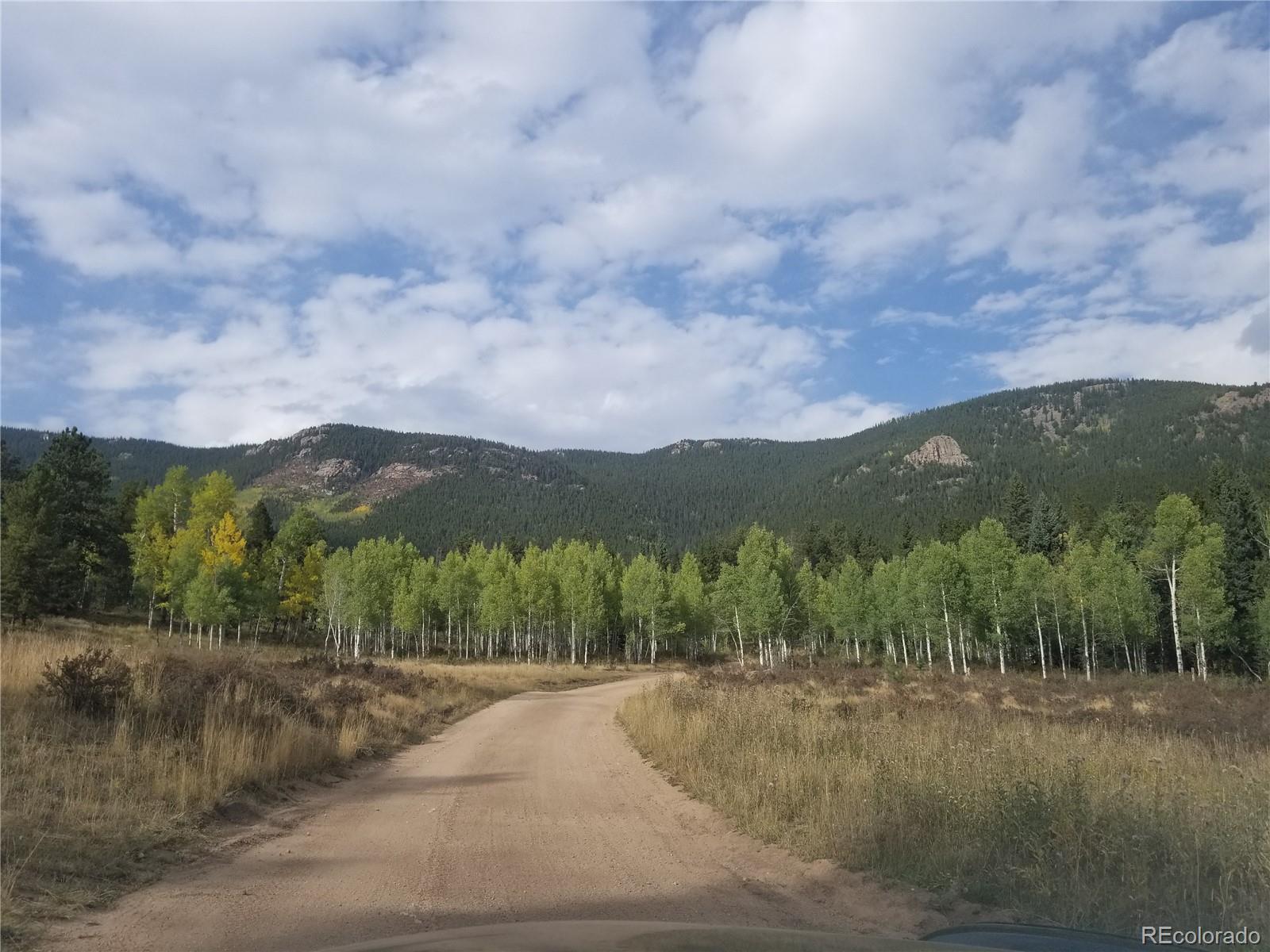 332 Hall Road Bailey, CO 80421 - Photo 36 of 40