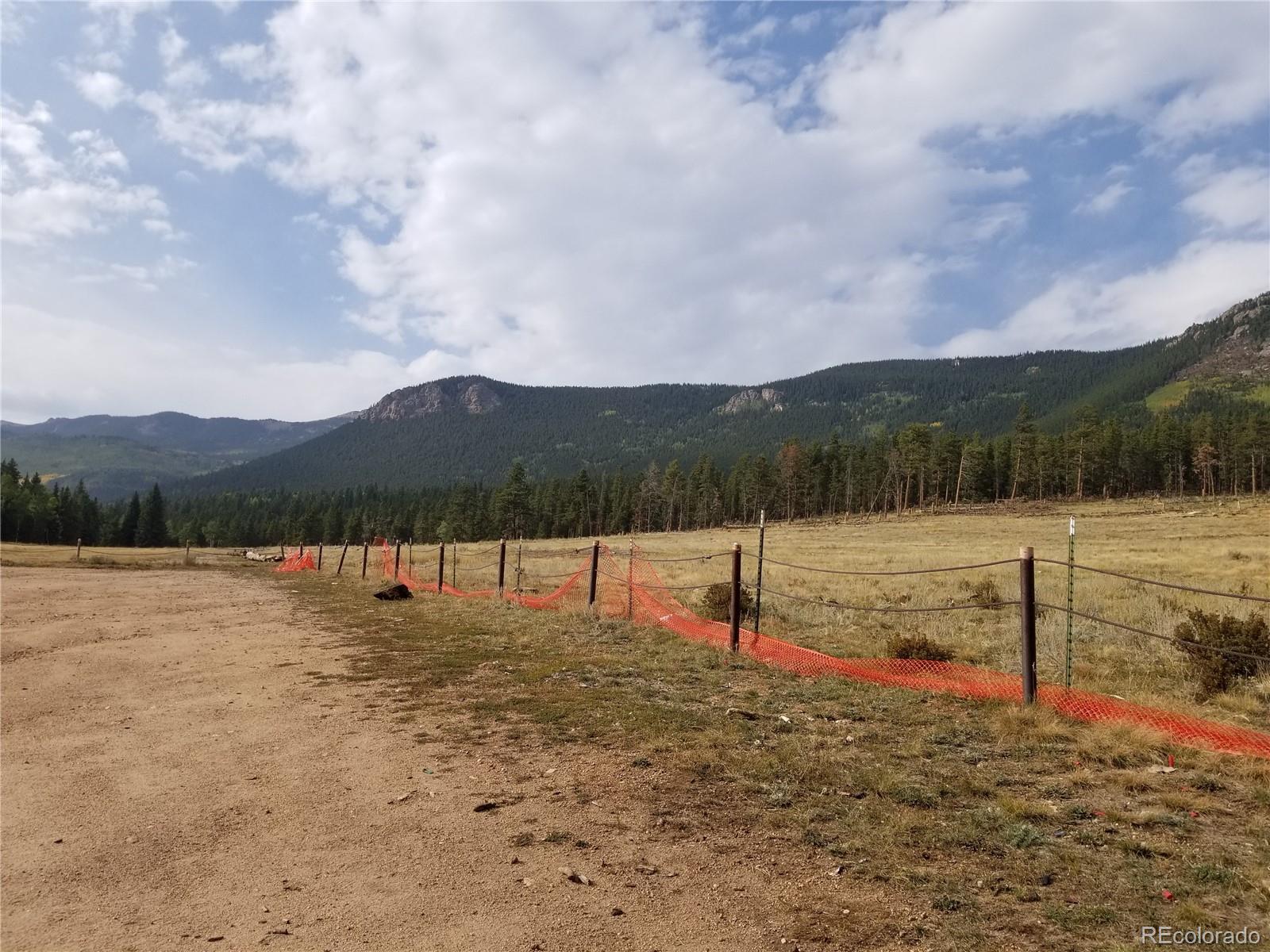 332 Hall Road Bailey, CO 80421 - Photo 37 of 40