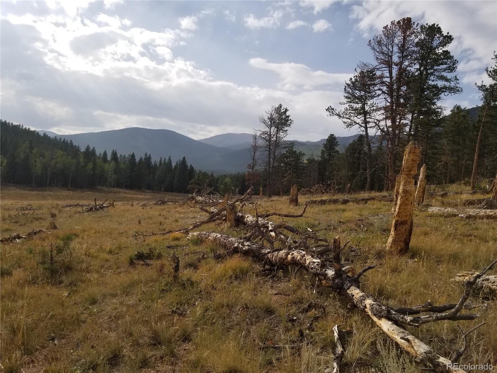 332 Hall Road Bailey, CO 80421 - Photo 39 of 40