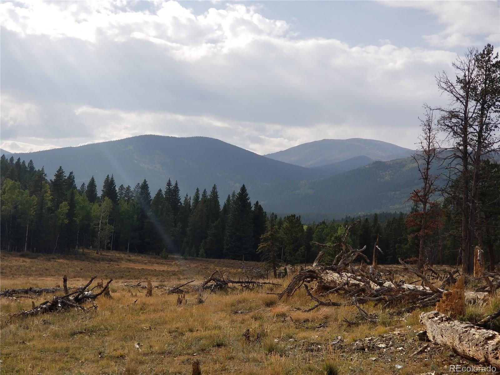 332 Hall Road Bailey, CO 80421 - Photo 40 of 40