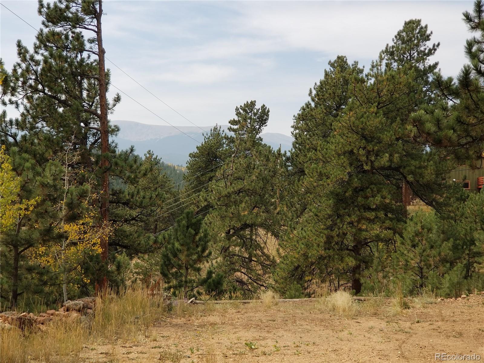 332 Hall Road Bailey, CO 80421 - Photo 4 of 40