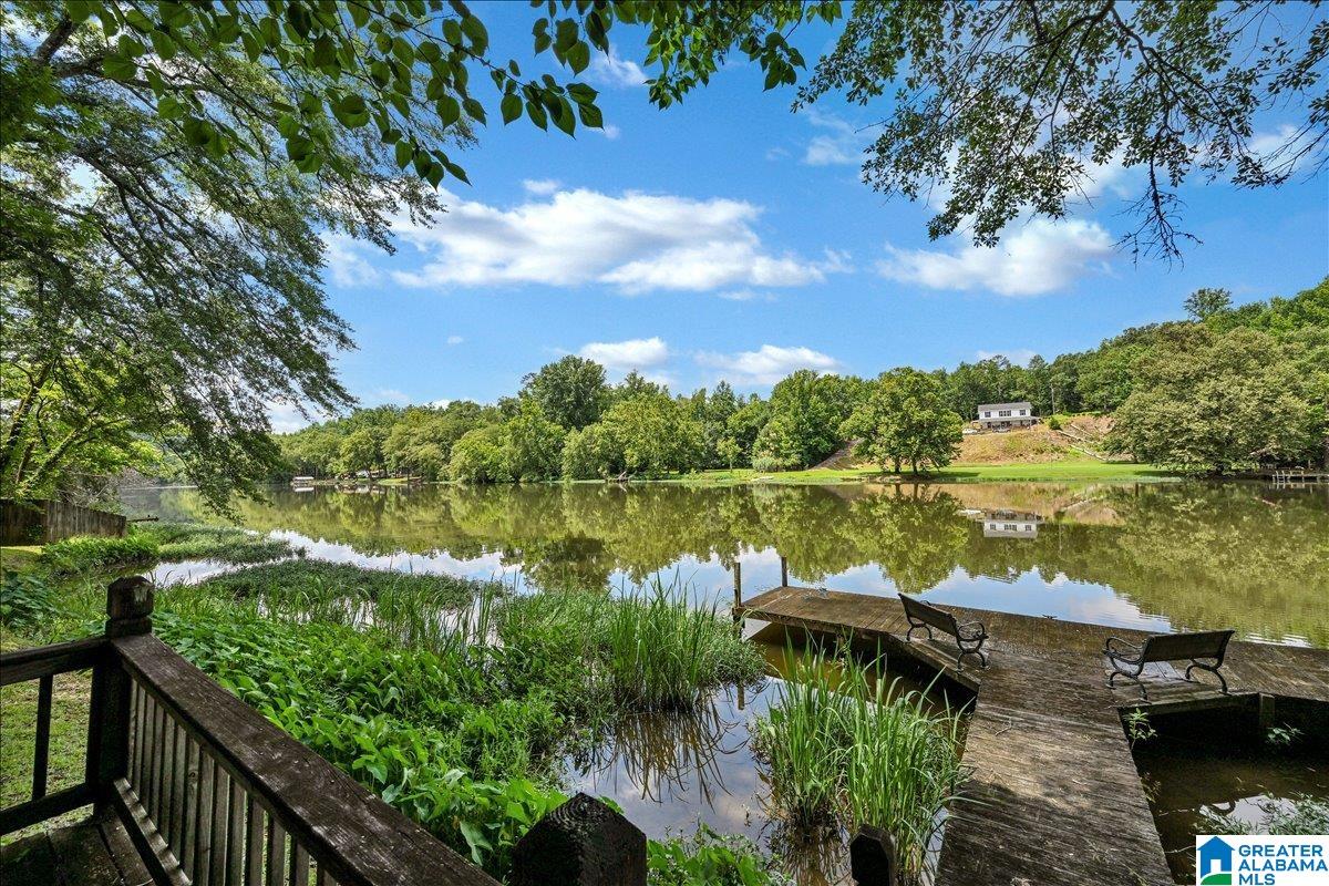 526 Boat Launch Road Quinton, AL 35130 - Photo 49 of 56