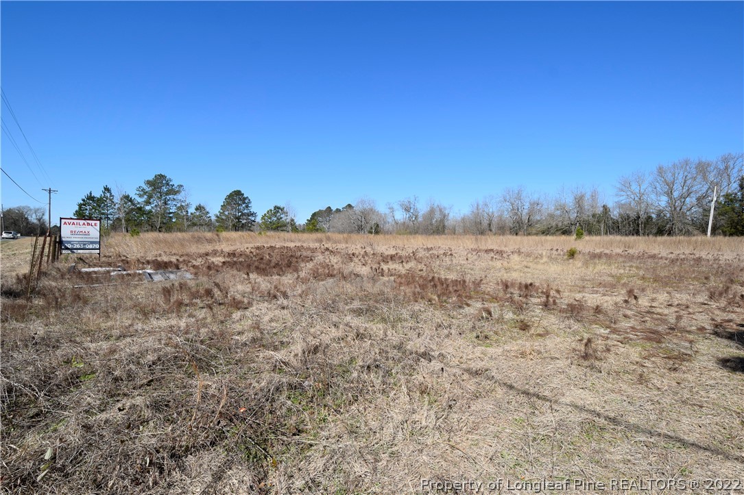 3289 Fayetteville Road Raeford, NC 28376 - Photo 2 of 5 a view of a field with trees in the background
