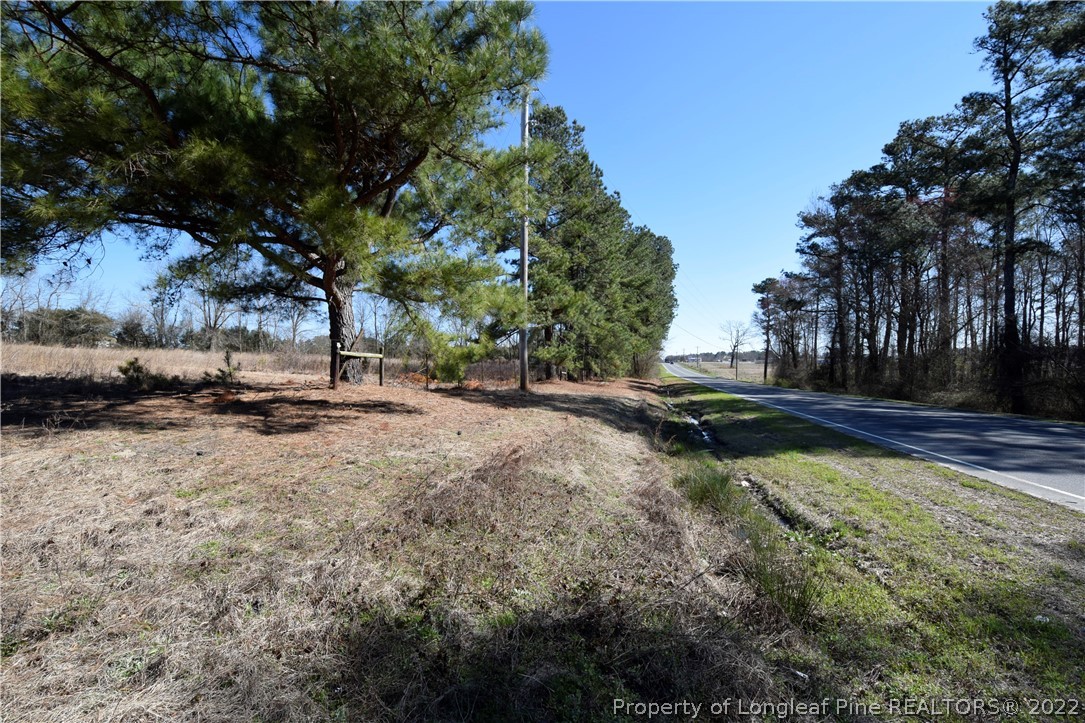 3289 Fayetteville Road Raeford, NC 28376 - Photo 3 of 5 a view of dirt yard with large trees