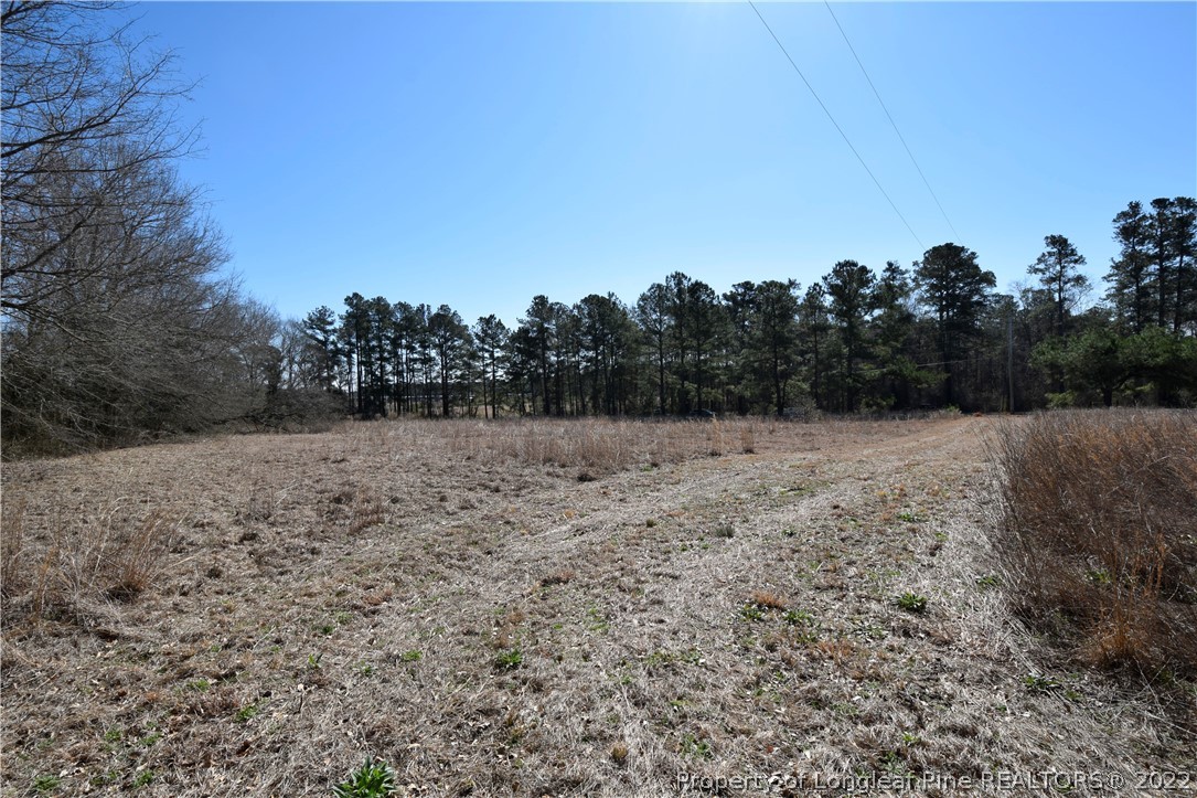 3289 Fayetteville Road Raeford, NC 28376 - Photo 4 of 5 a view of a yard with trees in the background