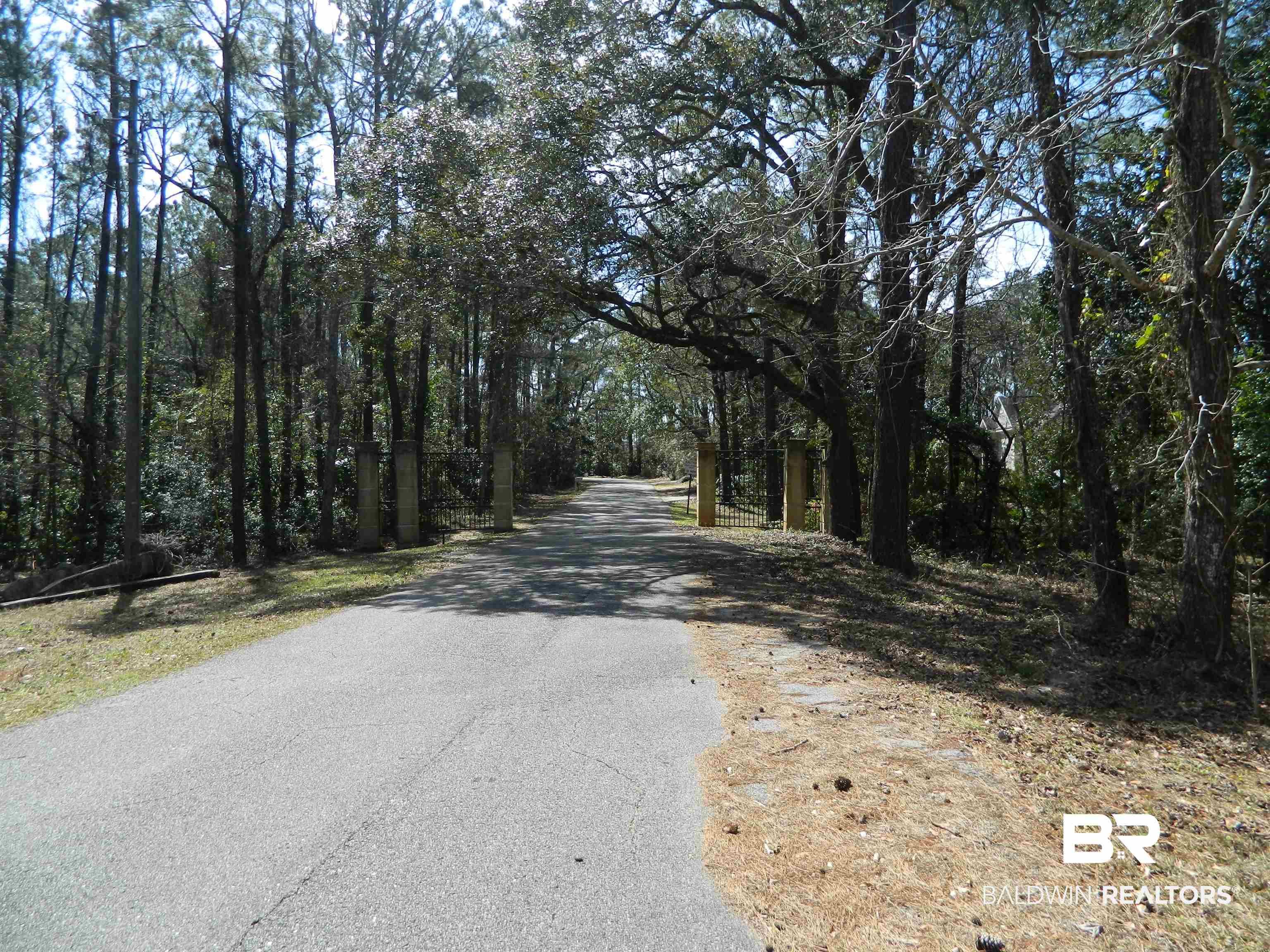 Riverview Nursery Road Theodore, AL 36582 - Photo 8 of 24
