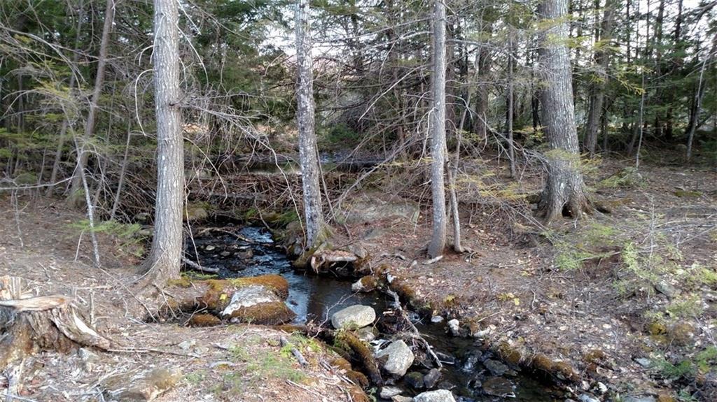Lot 8 Spaulding Pond Road Lakeville, ME 04487 - Photo 5 of 12 Photo