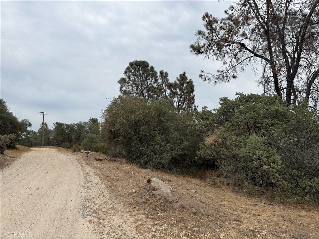 -39.77 Ac Flying O Ranch Road Coarsegold, CA 93614 - Photo 12 of 26 Gallery Image 12