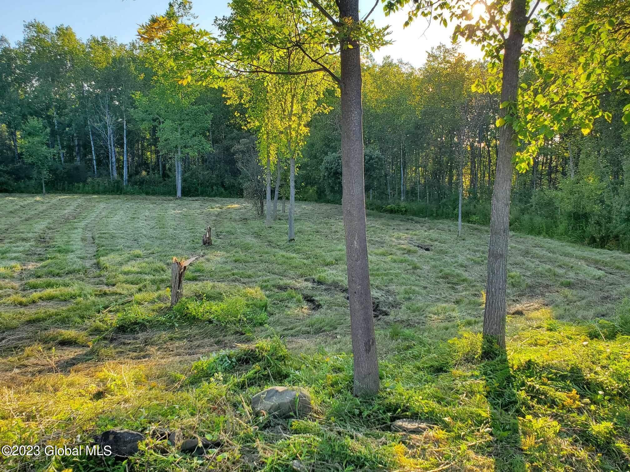 L10 Toback Road Esperance, NY 12066 - Photo 12 of 13 IMG_2450