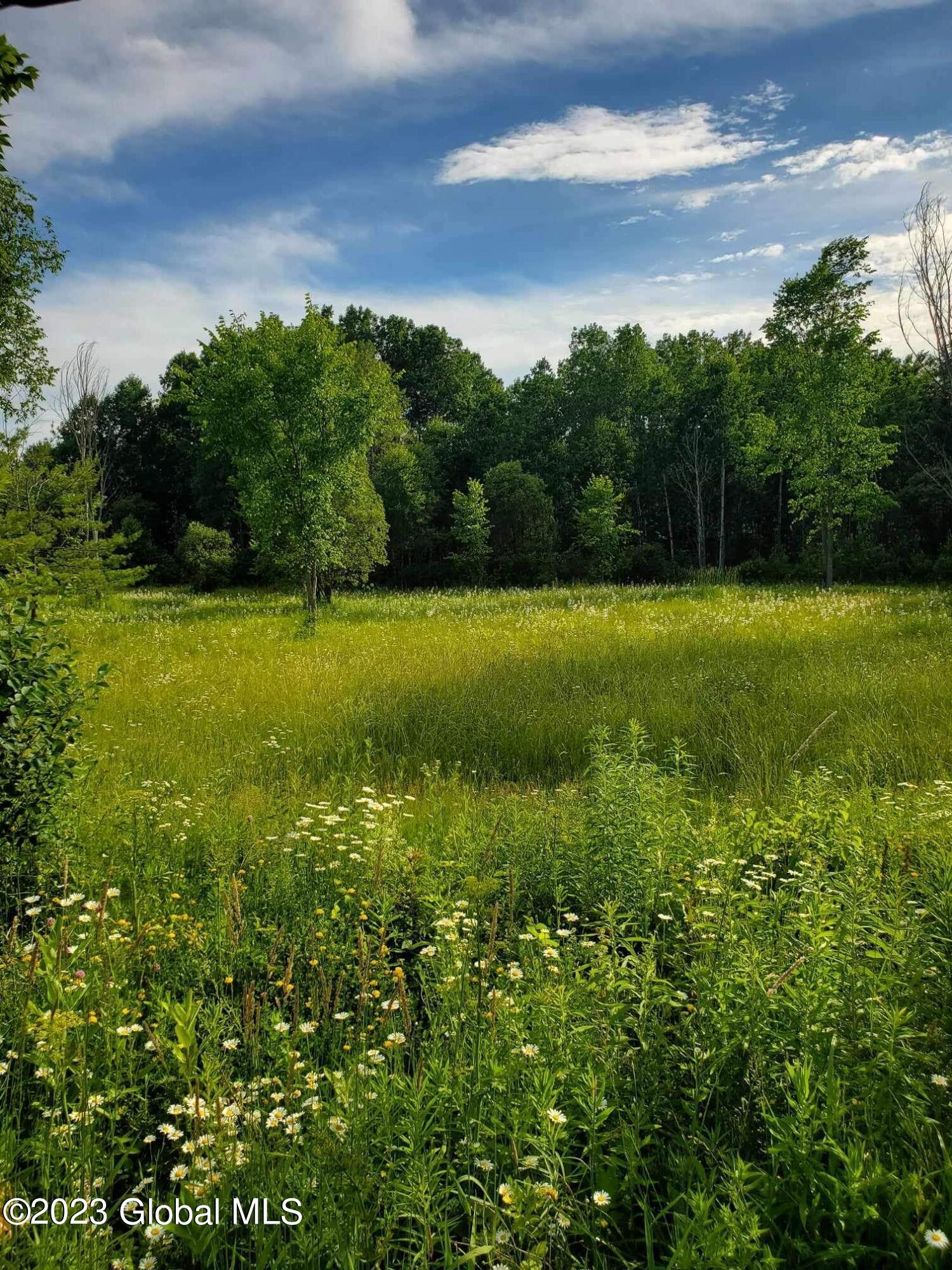 L10 Toback Road Esperance, NY 12066 - Photo 3 of 13 IMG_2463