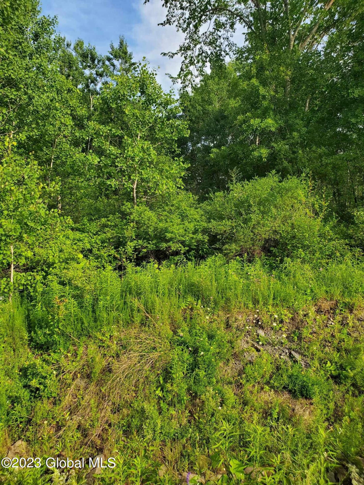 L10 Toback Road Esperance, NY 12066 - Photo 4 of 13 IMG_2462