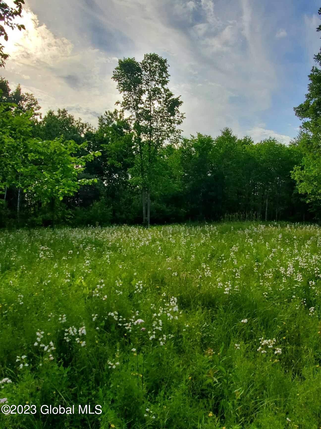 L10 Toback Road Esperance, NY 12066 - Photo 5 of 13 IMG_2458