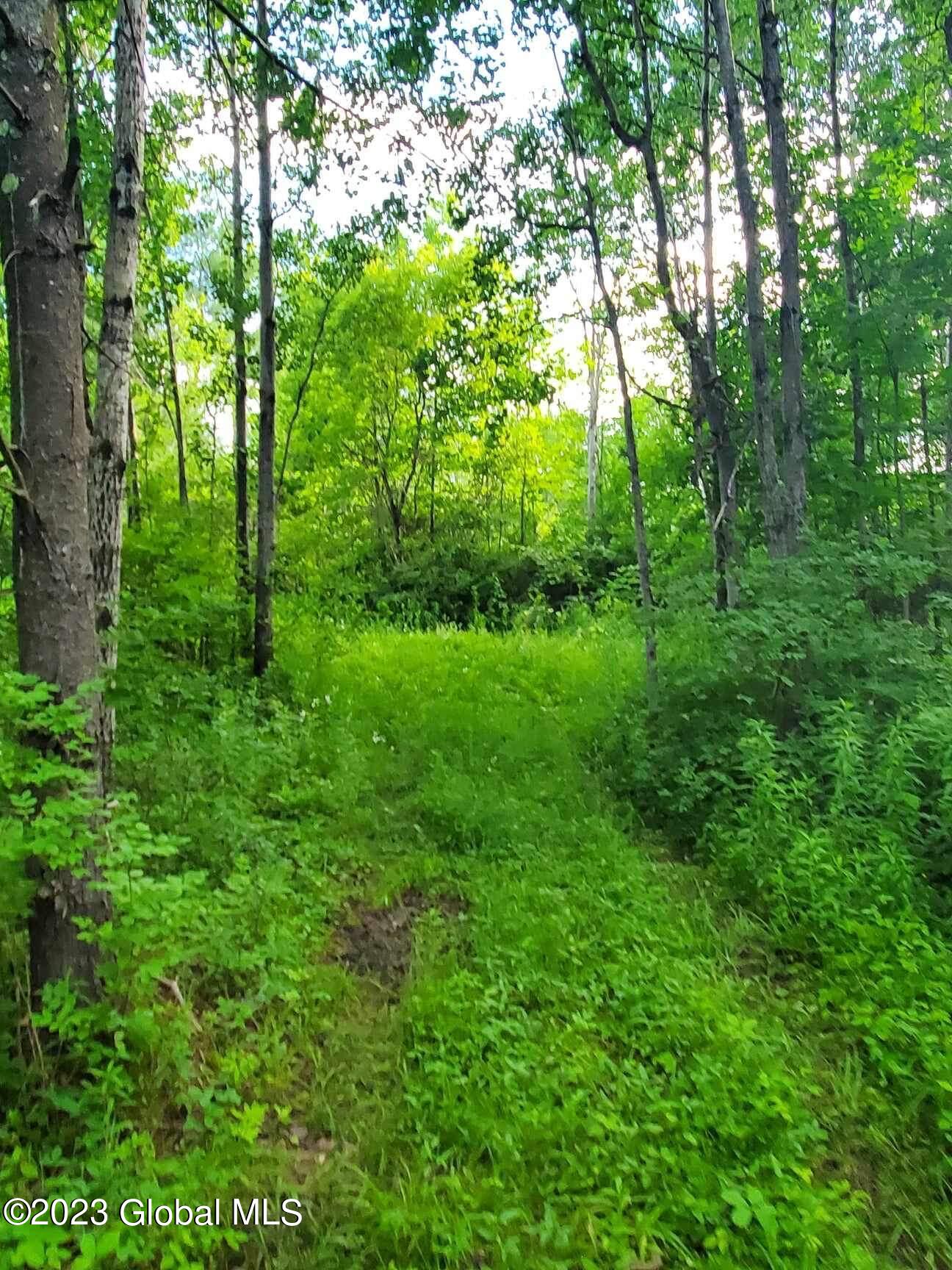 L10 Toback Road Esperance, NY 12066 - Photo 6 of 13 IMG_2457