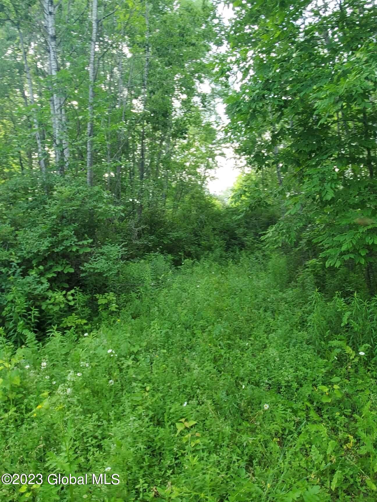 L10 Toback Road Esperance, NY 12066 - Photo 7 of 13 IMG_2456