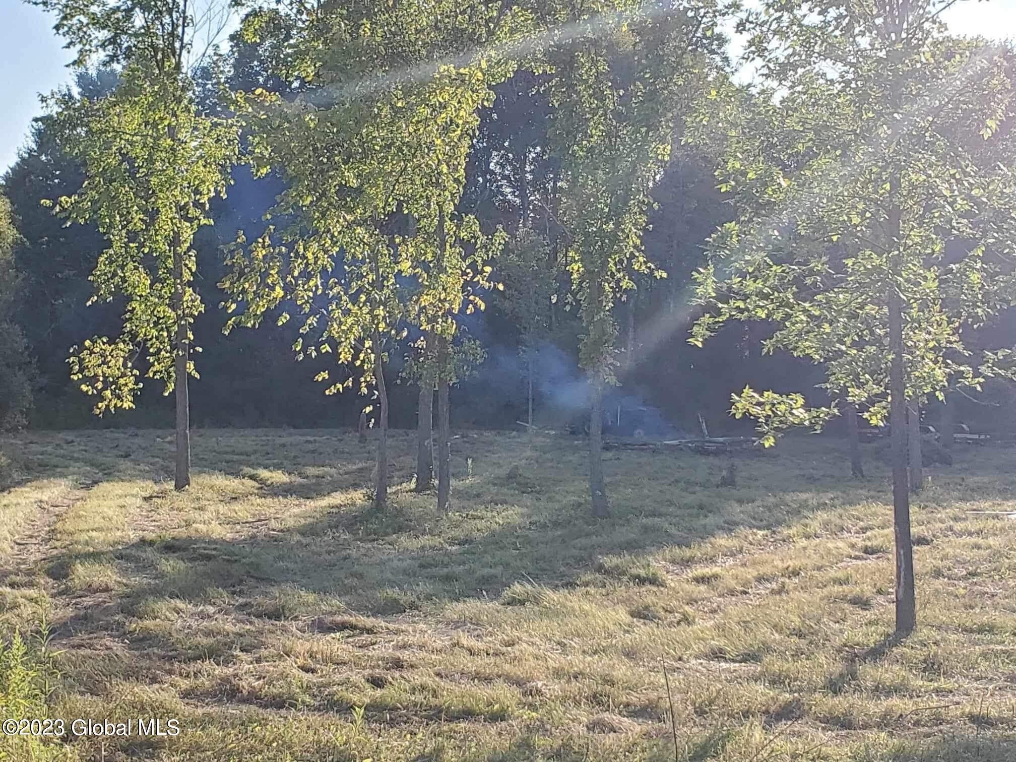 L10 Toback Road Esperance, NY 12066 - Photo 10 of 13 IMG_2452