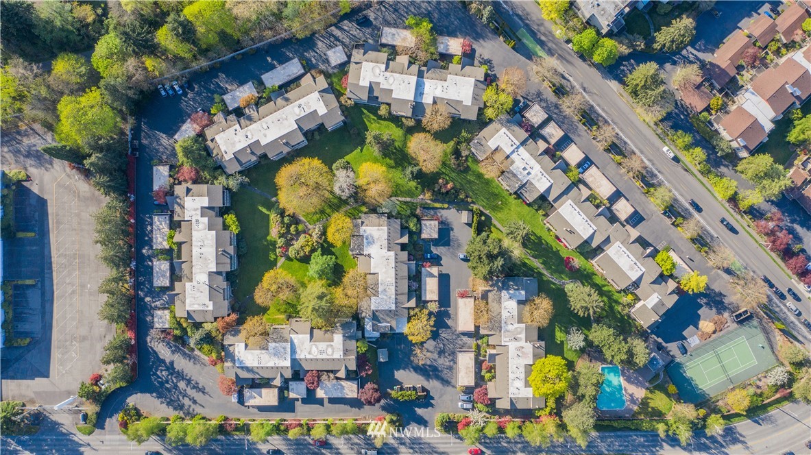 6413 Sand Point Way Northeast Seattle, WA 98115 - Photo 24 of 25 a picture of street view